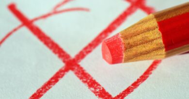 Elezioni Rsu Rls – indette nuove elezioni